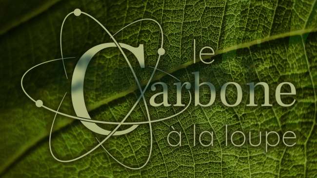 Le CARBONE à la loupe